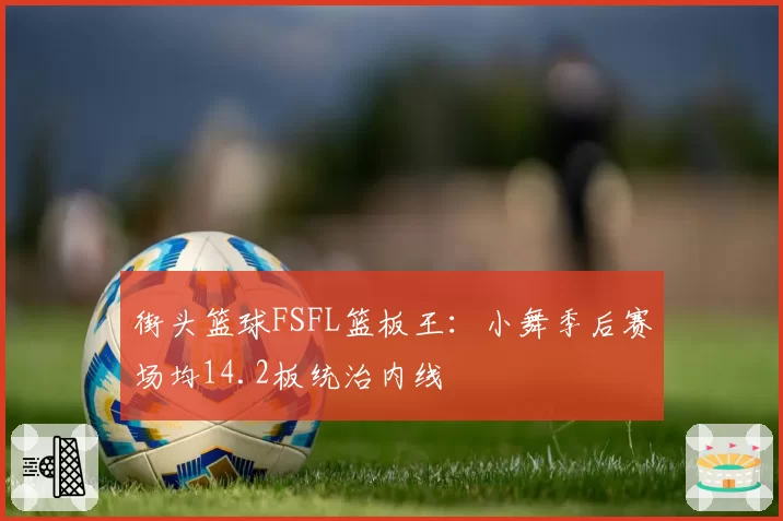 街头篮球FSFL篮板王：小舞季后赛场均14.2板统治内线