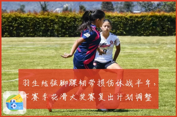 羽生结弦脚踝韧带损伤休战半年，下赛季花滑大奖赛复出计划调整