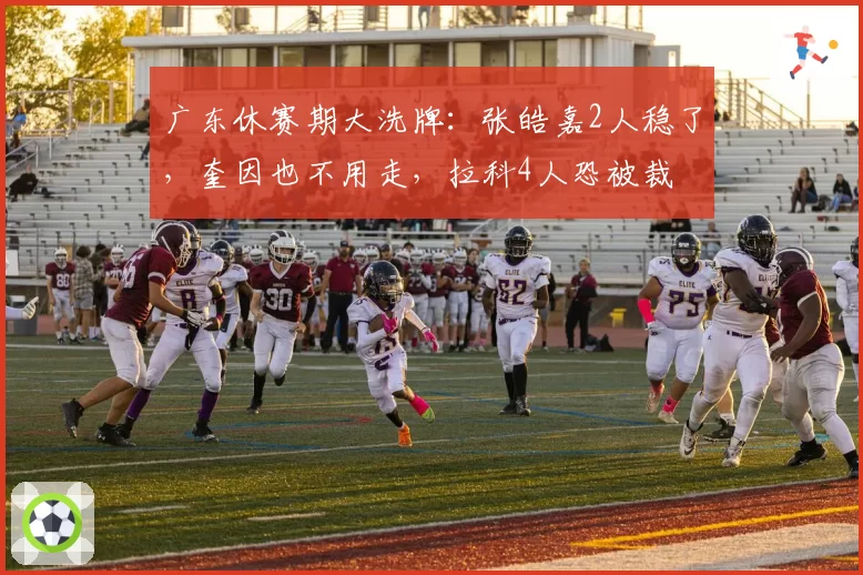 广东休赛期大洗牌：张皓嘉2人稳了，奎因也不用走，拉科4人恐被裁