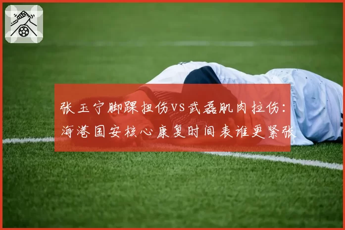 张玉宁脚踝扭伤vs武磊肌肉拉伤：海港国安核心康复时间表谁更紧张？