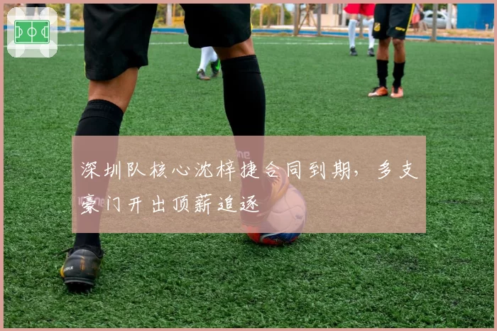 深圳队核心沈梓捷合同到期，多支豪门开出顶薪追逐