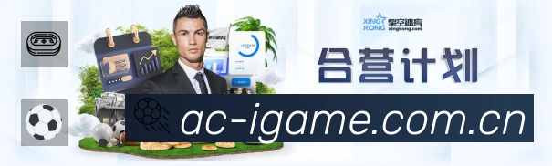 爱游戏中国安全价值